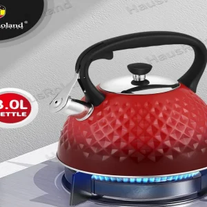 קומקום שורק HR759-1