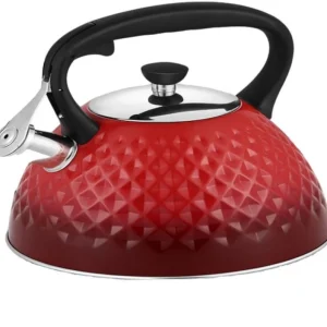 קומקום שורק HR759-1