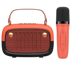 בידורית ניידת מיני קריוקי NY-5491