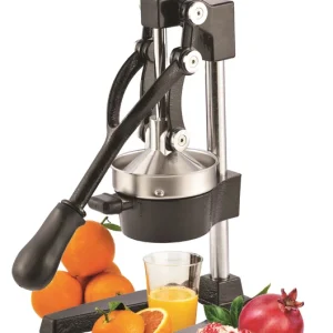 מסחטת מיץ מקצועית BT1165